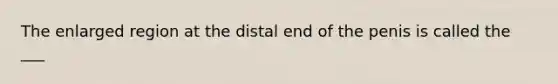 The enlarged region at the distal end of the penis is called the ___