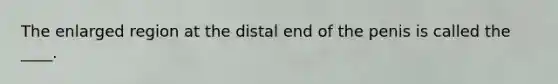 The enlarged region at the distal end of the penis is called the ____.​