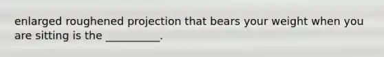 enlarged roughened projection that bears your weight when you are sitting is the __________.