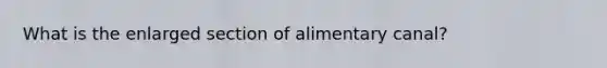 What is the enlarged section of alimentary canal?