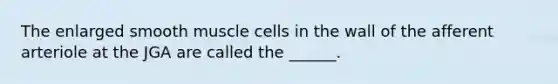 The enlarged smooth muscle cells in the wall of the afferent arteriole at the JGA are called the ______.