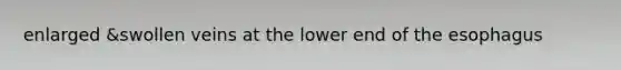 enlarged &swollen veins at the lower end of the esophagus