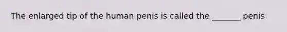 The enlarged tip of the human penis is called the _______ penis