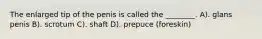 The enlarged tip of the penis is called the ________. A). glans penis B). scrotum C). shaft D). prepuce (foreskin)