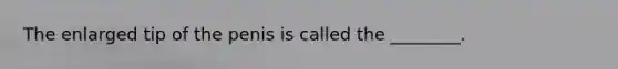 The enlarged tip of the penis is called the ________.