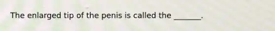 The enlarged tip of the penis is called the _______.