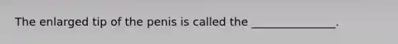 The enlarged tip of the penis is called the _______________.