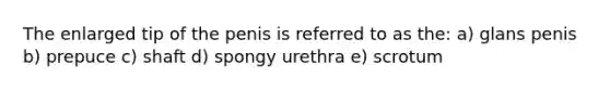 The enlarged tip of the penis is referred to as the: a) glans penis b) prepuce c) shaft d) spongy urethra e) scrotum