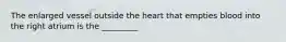 The enlarged vessel outside the heart that empties blood into the right atrium is the _________