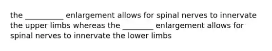 the __________ enlargement allows for spinal nerves to innervate the <a href='https://www.questionai.com/knowledge/kJyXBSF4I2-upper-limb' class='anchor-knowledge'>upper limb</a>s whereas the ________ enlargement allows for spinal nerves to innervate the <a href='https://www.questionai.com/knowledge/kF4ILRdZqC-lower-limb' class='anchor-knowledge'>lower limb</a>s