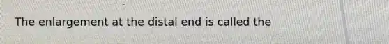 The enlargement at the distal end is called the