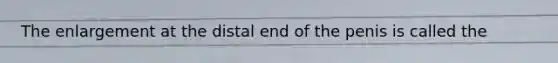 The enlargement at the distal end of the penis is called the