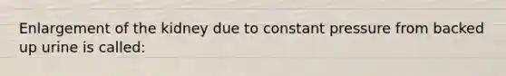 Enlargement of the kidney due to constant pressure from backed up urine is called: