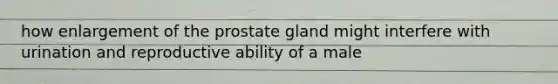 how enlargement of the prostate gland might interfere with urination and reproductive ability of a male