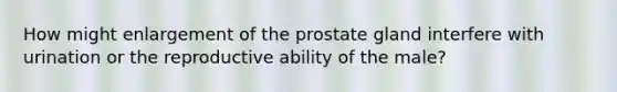 How might enlargement of the prostate gland interfere with urination or the reproductive ability of the male?