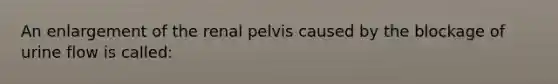 An enlargement of the renal pelvis caused by the blockage of urine flow is called: