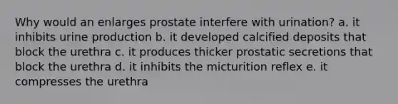 Why would an enlarges prostate interfere with urination? a. it inhibits urine production b. it developed calcified deposits that block the urethra c. it produces thicker prostatic secretions that block the urethra d. it inhibits the micturition reflex e. it compresses the urethra