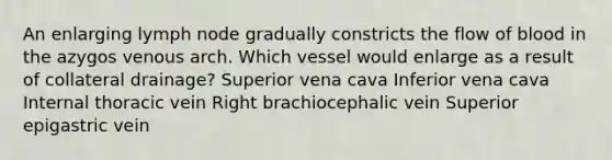 An enlarging lymph node gradually constricts the flow of blood in the azygos venous arch. Which vessel would enlarge as a result of collateral drainage? Superior vena cava Inferior vena cava Internal thoracic vein Right brachiocephalic vein Superior epigastric vein