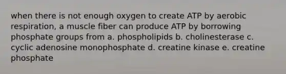 when there is not enough oxygen to create ATP by aerobic respiration, a muscle fiber can produce ATP by borrowing phosphate groups from a. phospholipids b. cholinesterase c. cyclic adenosine monophosphate d. creatine kinase e. creatine phosphate