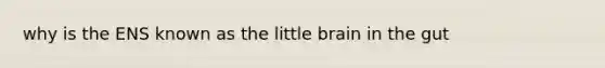 why is the ENS known as the little brain in the gut