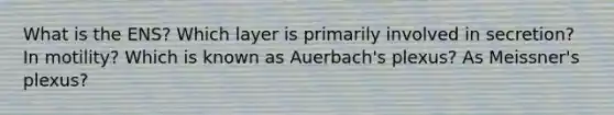 What is the ENS? Which layer is primarily involved in secretion? In motility? Which is known as Auerbach's plexus? As Meissner's plexus?