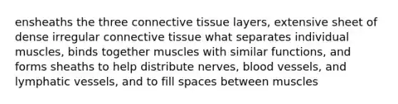 ensheaths the three connective tissue layers, extensive sheet of dense irregular connective tissue what separates individual muscles, binds together muscles with similar functions, and forms sheaths to help distribute nerves, blood vessels, and lymphatic vessels, and to fill spaces between muscles