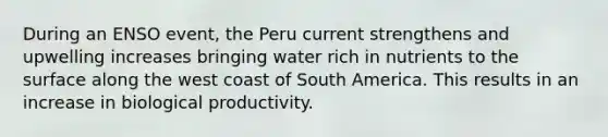 During an ENSO event, the Peru current strengthens and upwelling increases bringing water rich in nutrients to the surface along the west coast of South America. This results in an increase in biological productivity.