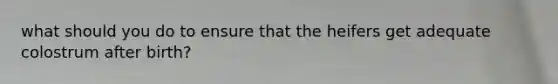 what should you do to ensure that the heifers get adequate colostrum after birth?