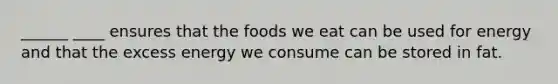 ______ ____ ensures that the foods we eat can be used for energy and that the excess energy we consume can be stored in fat.