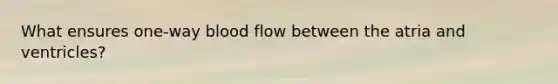 What ensures one-way blood flow between the atria and ventricles?