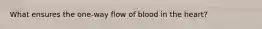 What ensures the one-way flow of blood in the heart?