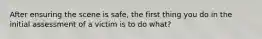 After ensuring the scene is safe, the first thing you do in the initial assessment of a victim is to do what?