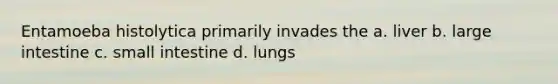 Entamoeba histolytica primarily invades the a. liver b. large intestine c. small intestine d. lungs