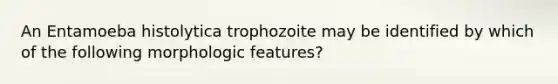 An Entamoeba histolytica trophozoite may be identified by which of the following morphologic features?