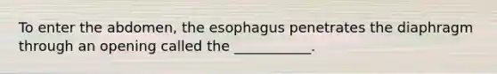 To enter the abdomen, <a href='https://www.questionai.com/knowledge/kSjVhaa9qF-the-esophagus' class='anchor-knowledge'>the esophagus</a> penetrates the diaphragm through an opening called the ___________.