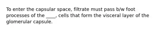 To enter the capsular space, filtrate must pass b/w foot processes of the ____, cells that form the visceral layer of the glomerular capsule.