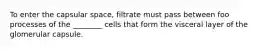 To enter the capsular space, filtrate must pass between foo processes of the ________ cells that form the visceral layer of the glomerular capsule.