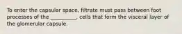 To enter the capsular space, filtrate must pass between foot processes of the __________, cells that form the visceral layer of the glomerular capsule.