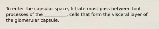 To enter the capsular space, filtrate must pass between foot processes of the __________, cells that form the visceral layer of the glomerular capsule.