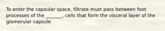 To enter the capsular space, filtrate must pass between foot processes of the _______, cells that form the visceral layer of the glomerular capsule