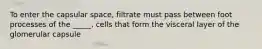 To enter the capsular space, filtrate must pass between foot processes of the _____, cells that form the visceral layer of the glomerular capsule