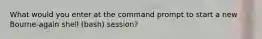 What would you enter at the command prompt to start a new Bourne-again shell (bash) session?