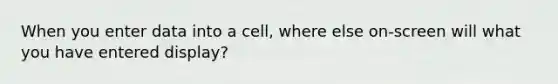 When you enter data into a cell, where else on-screen will what you have entered display?