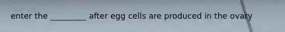 enter the _________ after egg cells are produced in the ovary