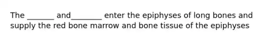 The _______ and________ enter the epiphyses of long bones and supply the red bone marrow and bone tissue of the epiphyses