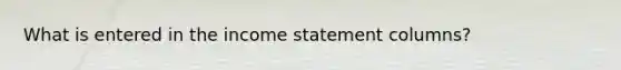 What is entered in the income statement columns?