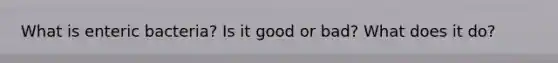What is enteric bacteria? Is it good or bad? What does it do?