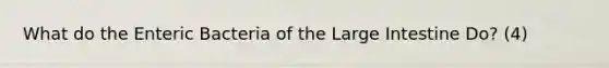 What do the Enteric Bacteria of the Large Intestine Do? (4)