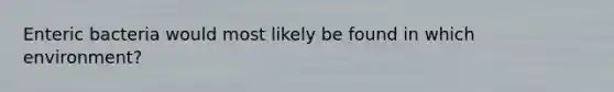 Enteric bacteria would most likely be found in which environment?