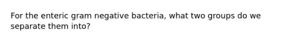 For the enteric gram negative bacteria, what two groups do we separate them into?